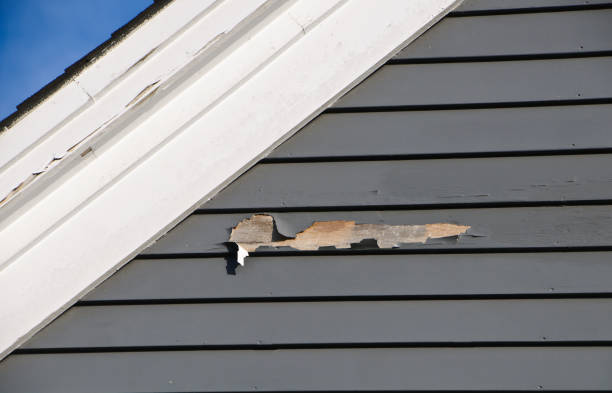 Best Attic Cleanout  in Donaldsonville, LA
